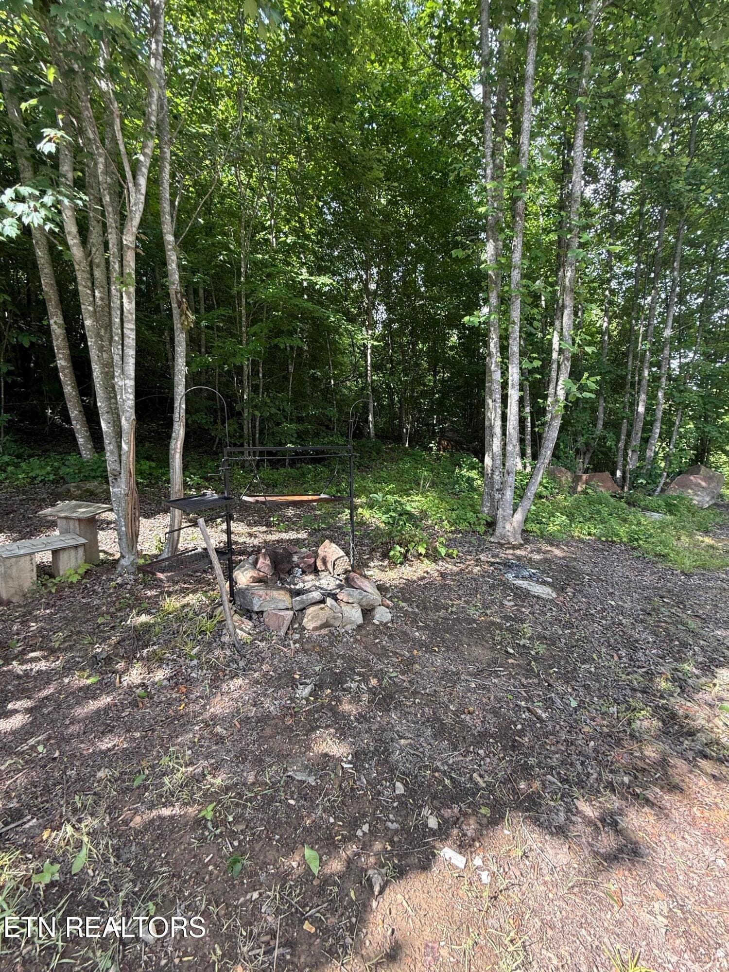 Fire Pit - 549 Defender Rd, LaFollette, TN 37766