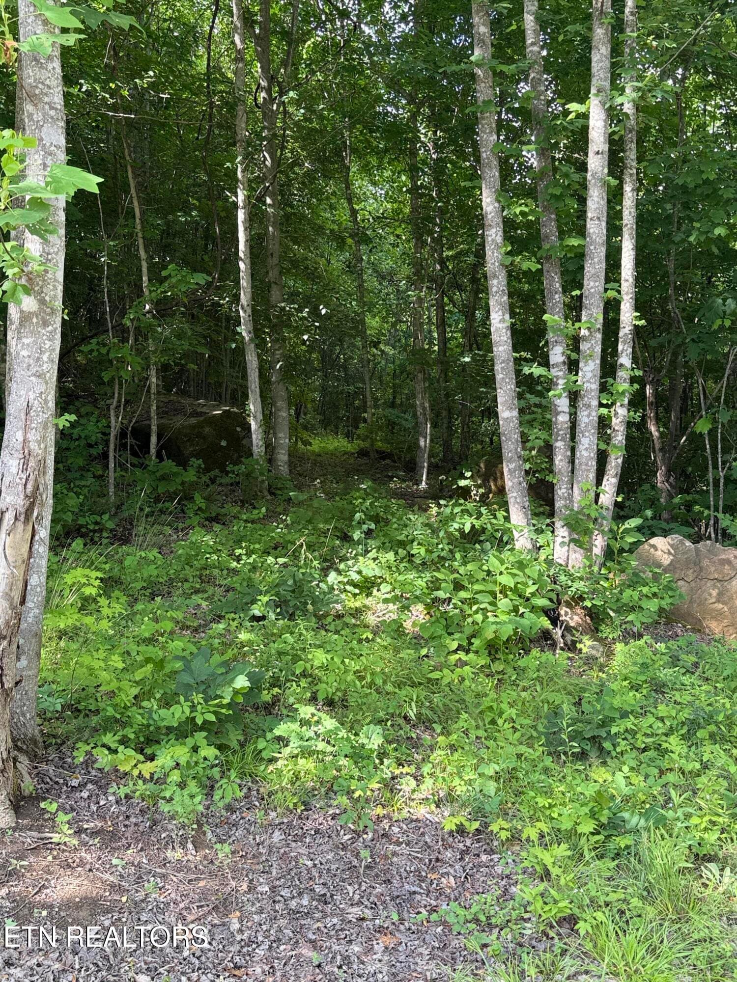 Trail 4 - 549 Defender Rd, LaFollette, TN 37766