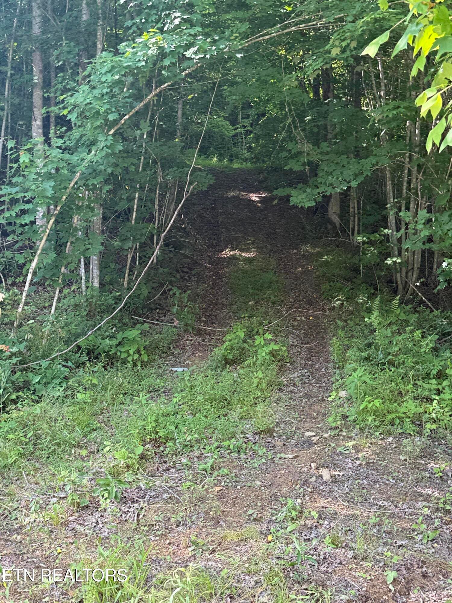 Trail 2 - 549 Defender Rd, LaFollette, TN 37766
