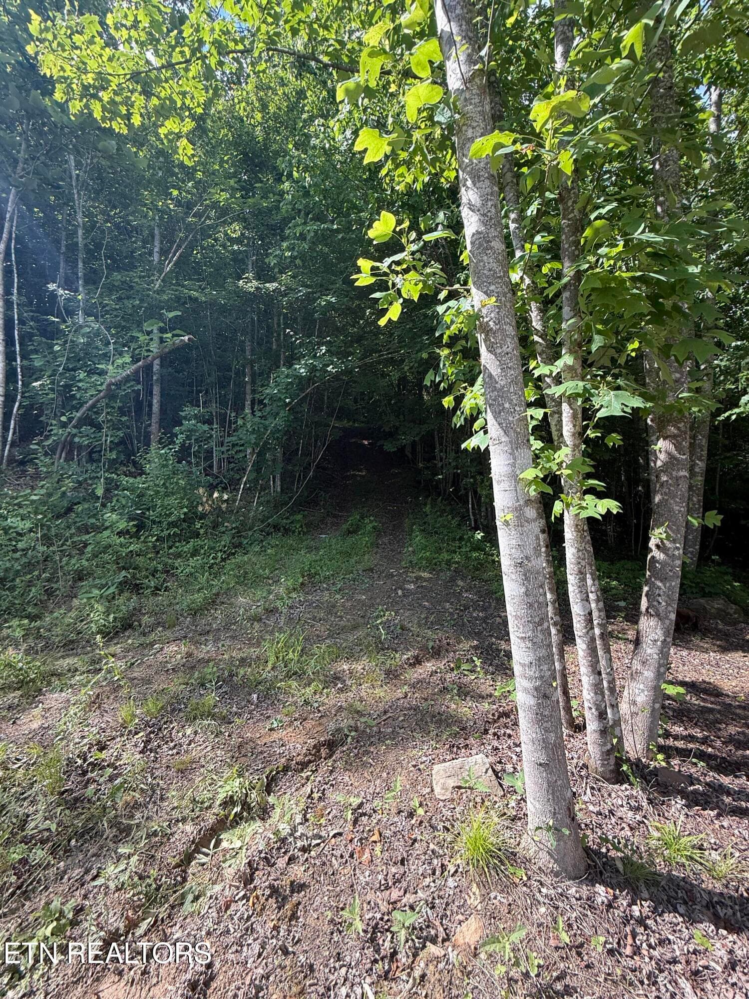 Trail 3 - 549 Defender Rd, LaFollette, TN 37766