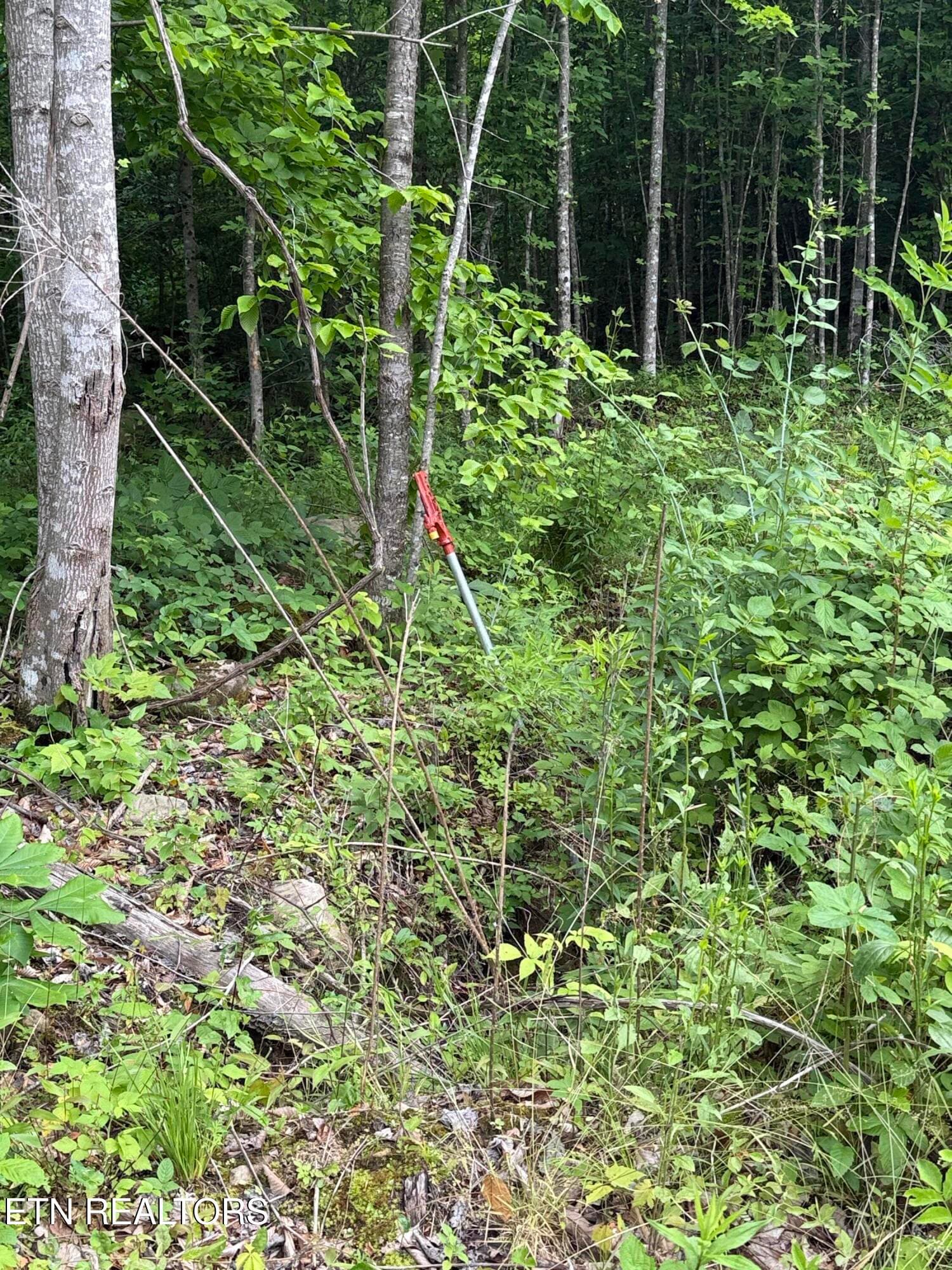 Hydrant 2 - 549 Defender Rd, LaFollette, TN 37766