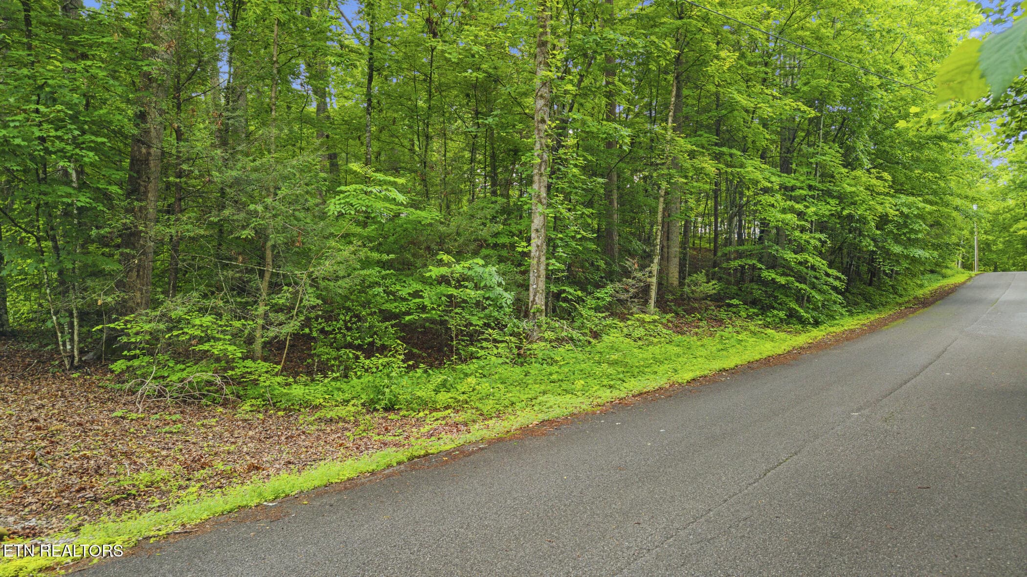 dji_20260526123817_0253_d - Peach Tree St, Sevierville, TN 37862, Sevierville