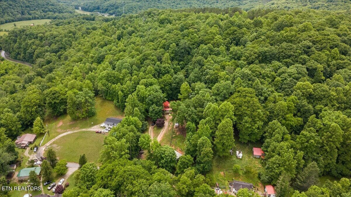 06-578 Fox Branch Rd - 578 Fox Branch Rd, Clairfield, TN 37715
