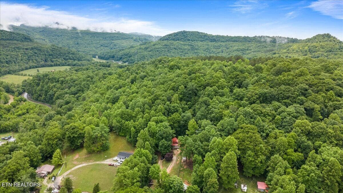 07-578 Fox Branch Rd - 578 Fox Branch Rd, Clairfield, TN 37715