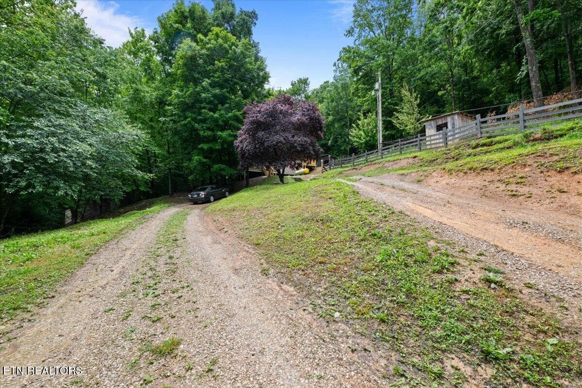 35-578 Fox Branch Rd - 578 Fox Branch Rd, Clairfield, TN 37715