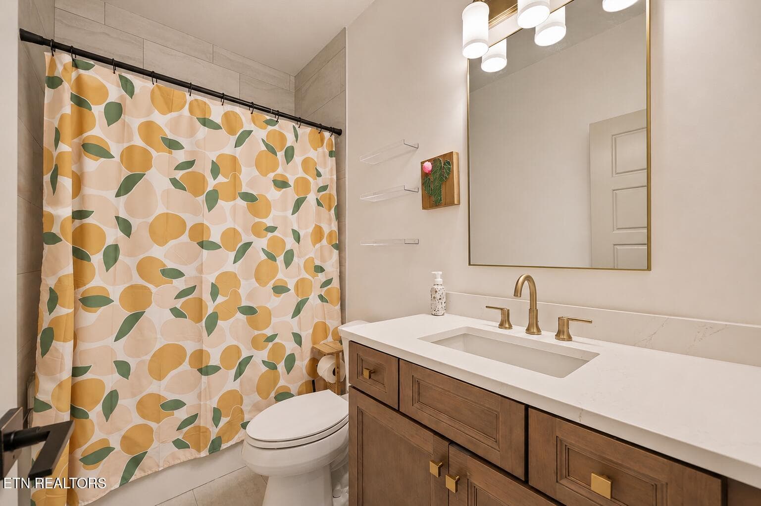 Lower EnSuite Bathroom - 9456 Horizon Drive, Knoxville, TN 37922, Knoxville