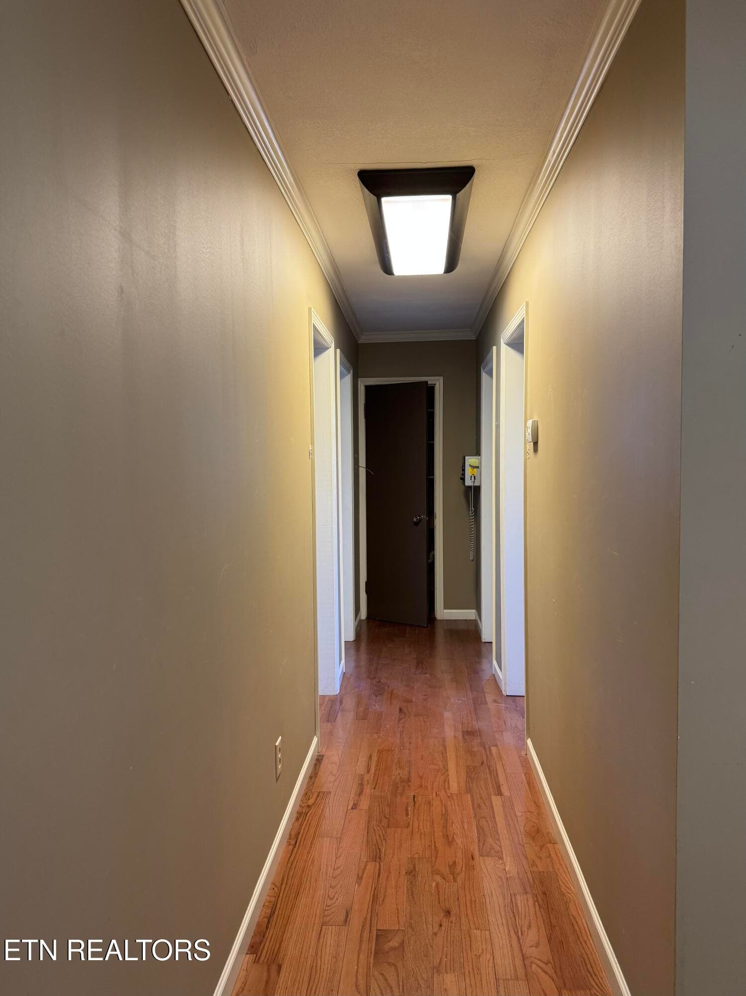 Hallway to Rooms - 705 Mulberry St, Loudon, TN 37774