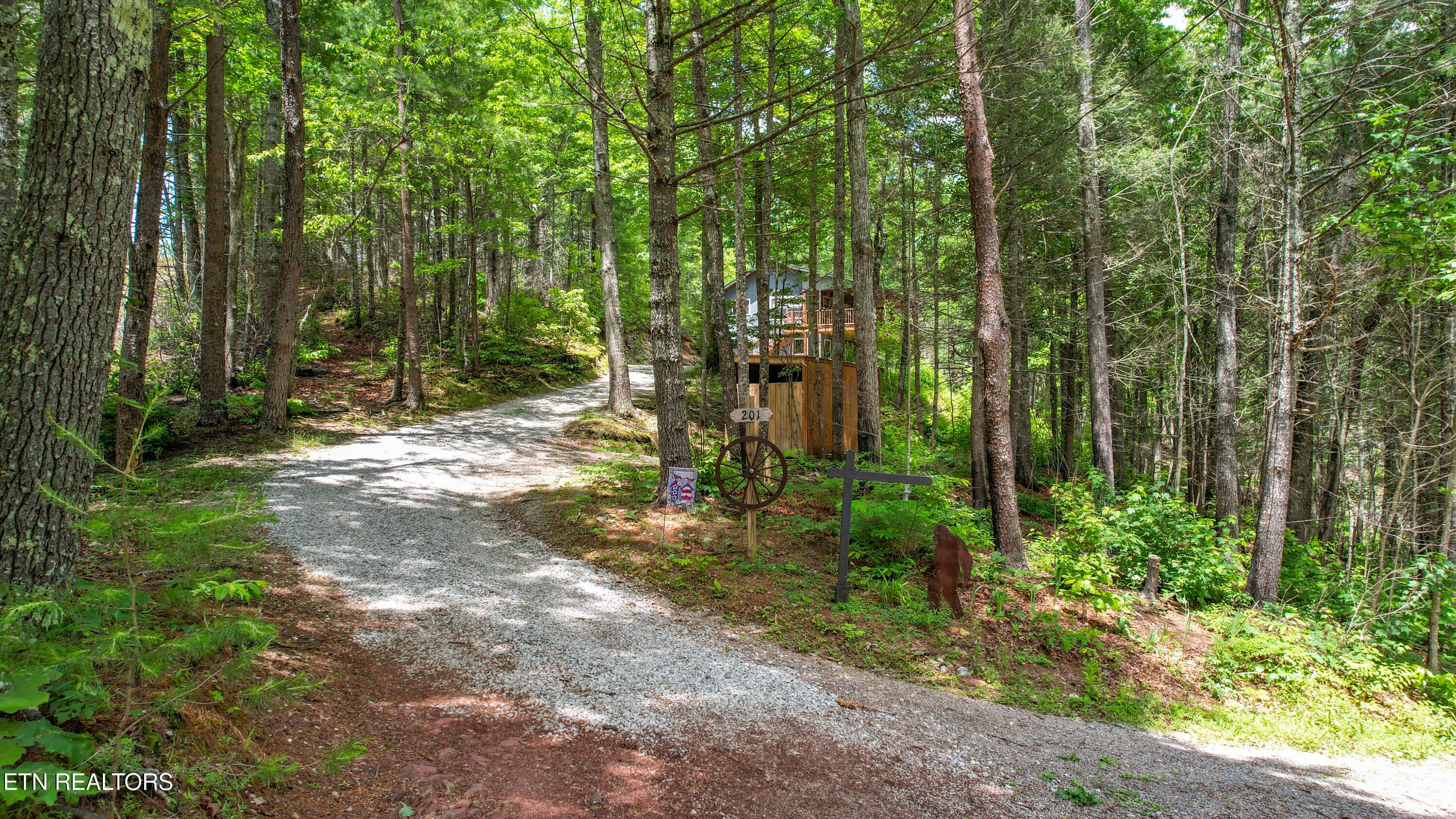 55-DJI_0308 - 201 Holder Cemetery Rd, Tellico Plains, TN 37385, Tellico Plains