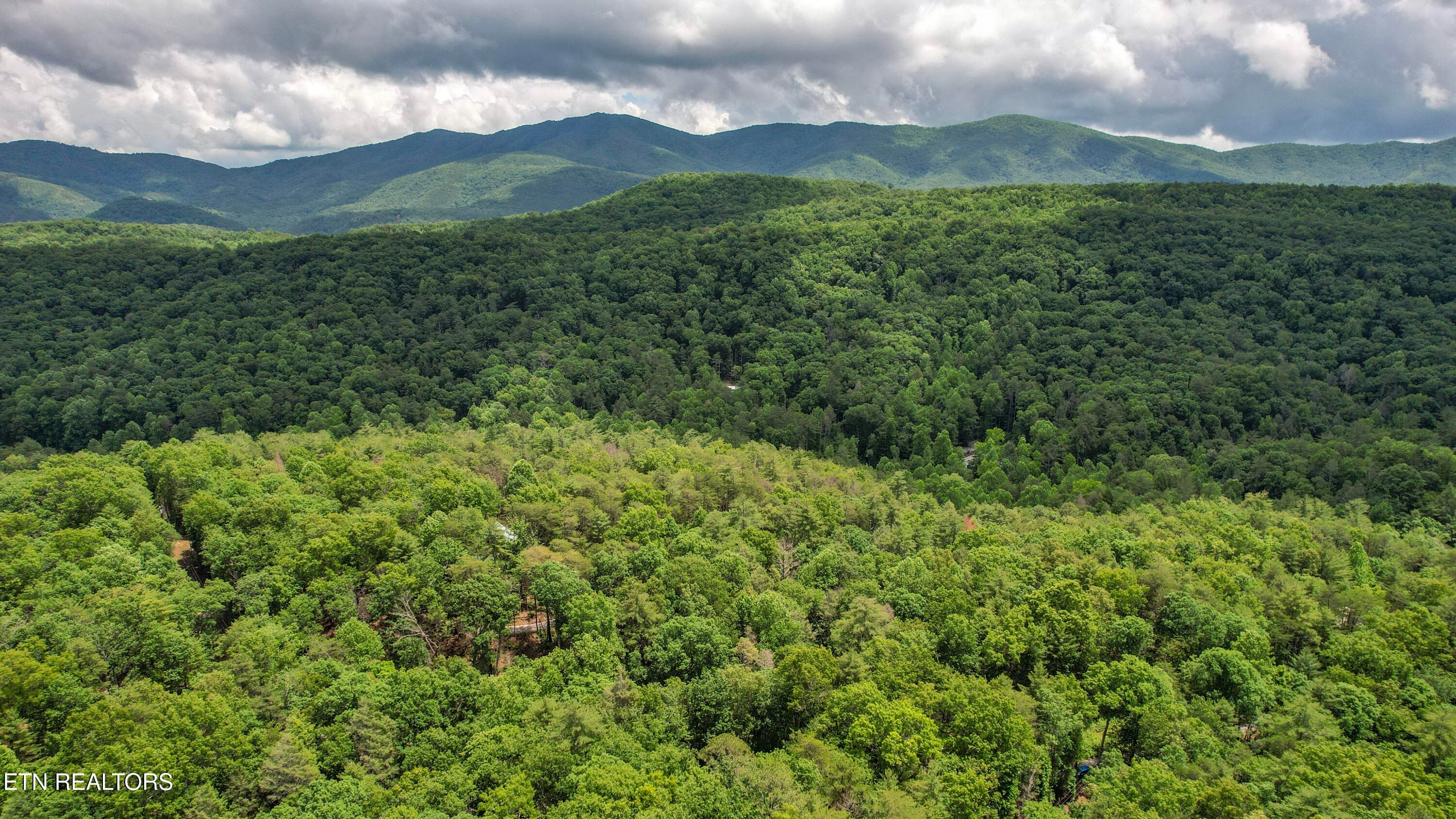 58-DJI_0299-Edit - 201 Holder Cemetery Rd, Tellico Plains, TN 37385, Tellico Plains