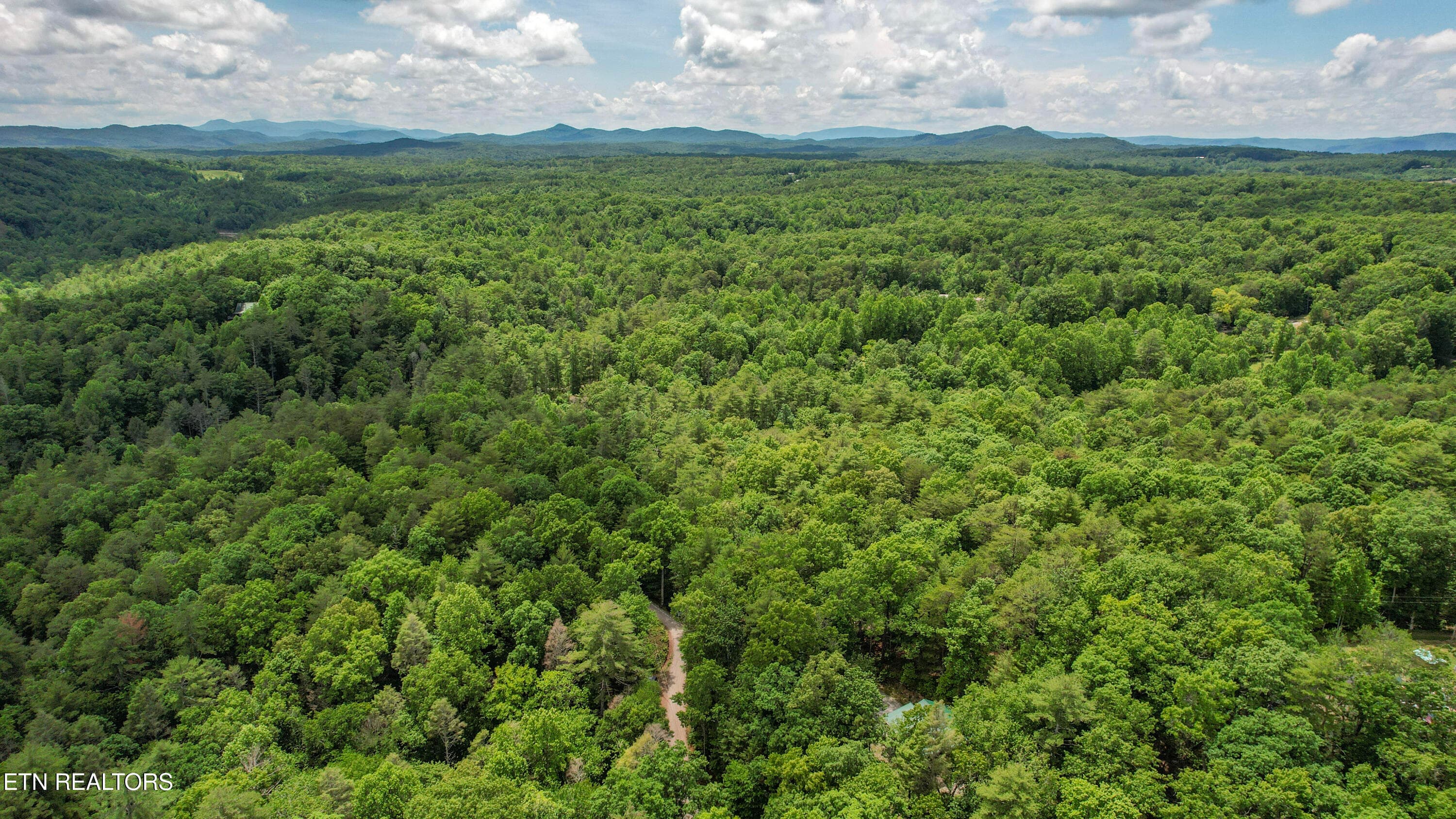 59-DJI_0305 - 201 Holder Cemetery Rd, Tellico Plains, TN 37385, Tellico Plains