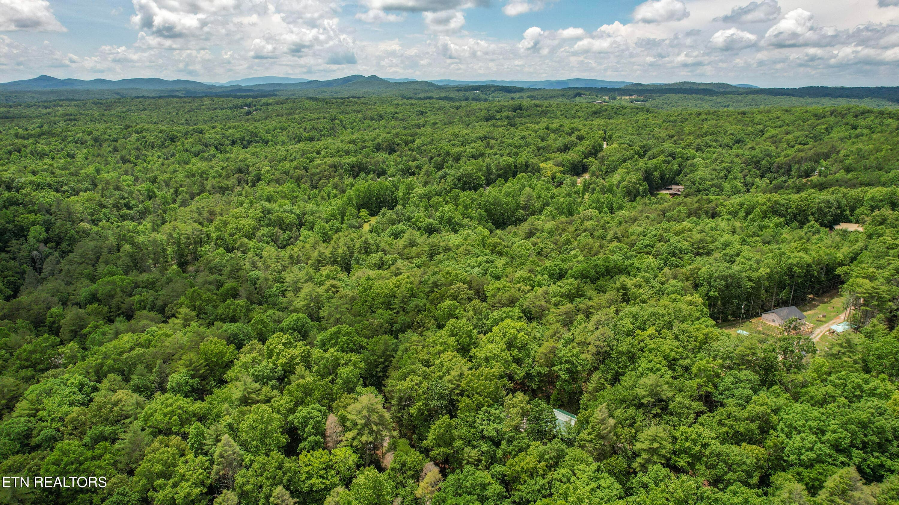60-DJI_0304 - 201 Holder Cemetery Rd, Tellico Plains, TN 37385, Tellico Plains