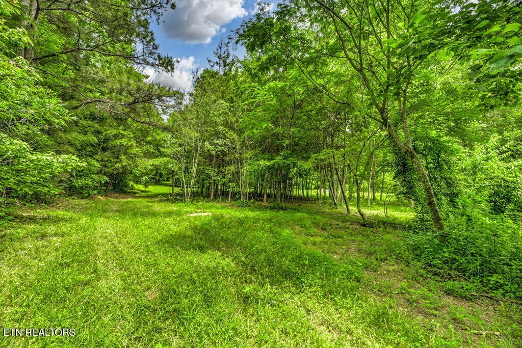 78 - Stone Ridge Drive, Andersonville, TN 37705
