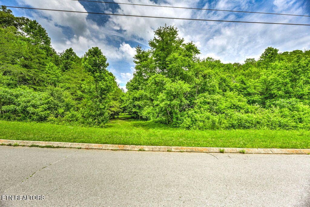 88 - Stone Ridge Drive, Andersonville, TN 37705