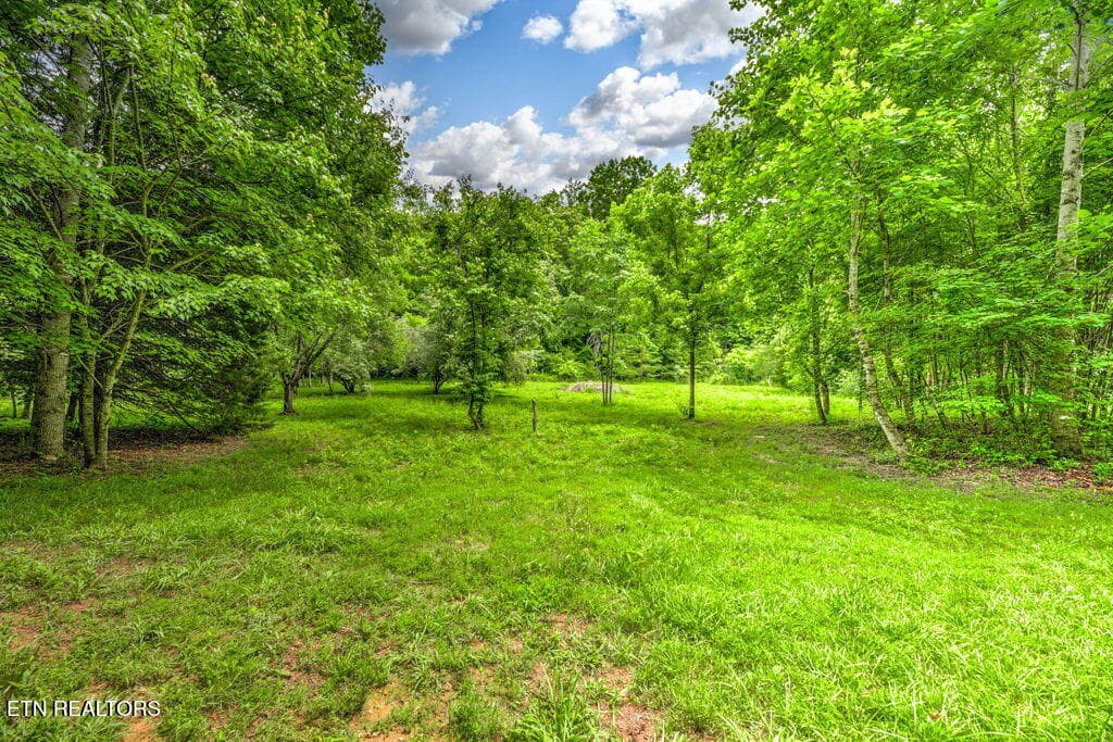 89 - Stone Ridge Drive, Andersonville, TN 37705