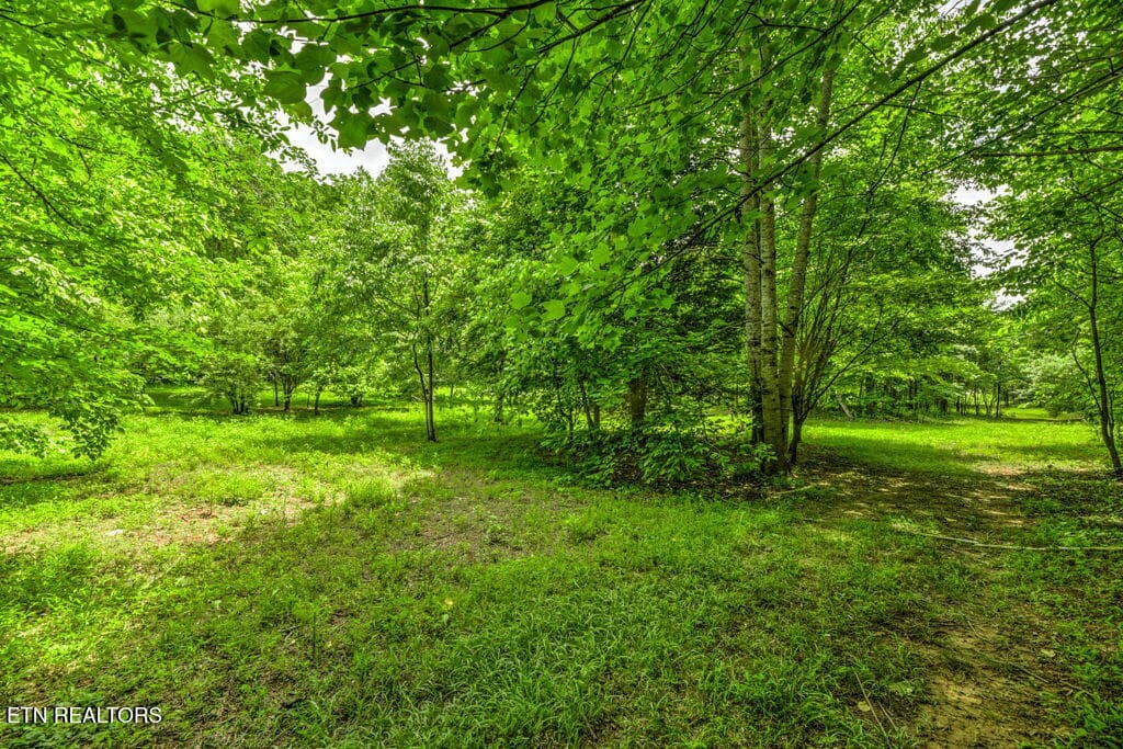 90 - Stone Ridge Drive, Andersonville, TN 37705
