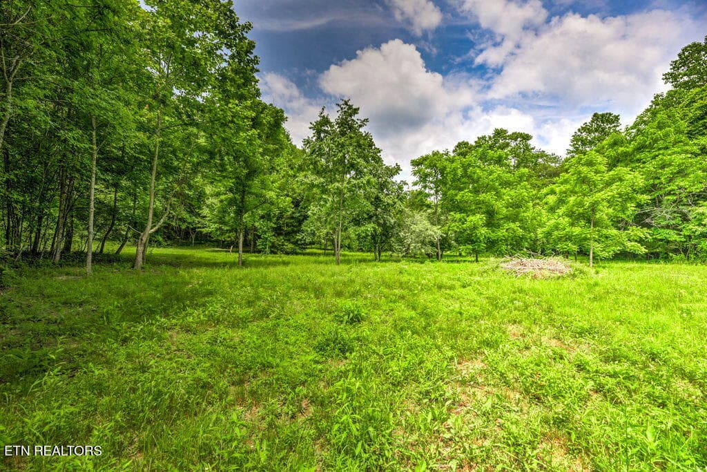 91 - Stone Ridge Drive, Andersonville, TN 37705