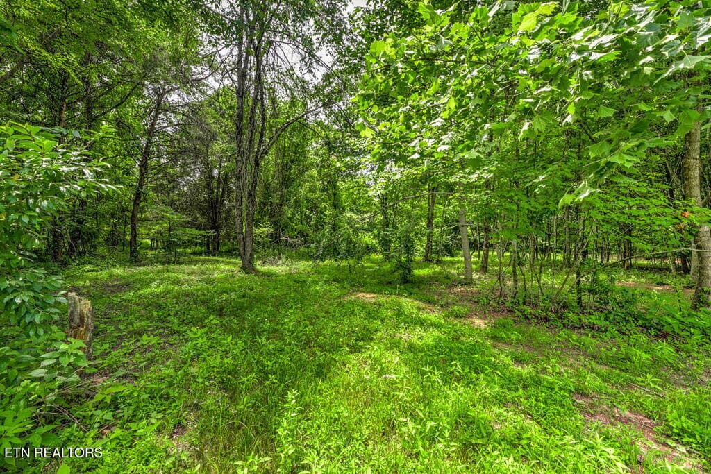 92 - Stone Ridge Drive, Andersonville, TN 37705