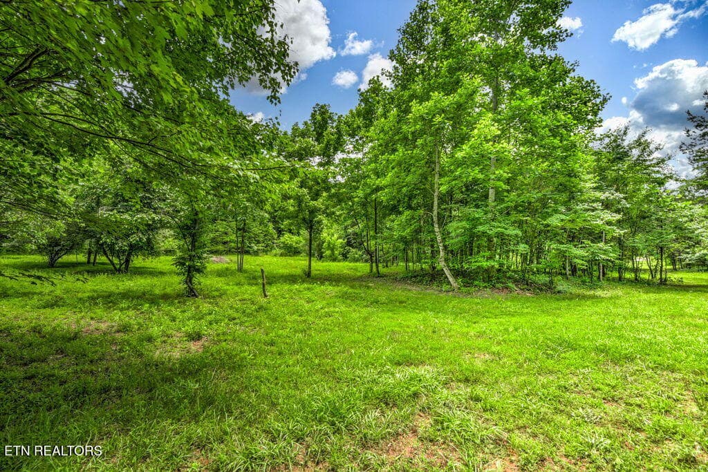 96 - Stone Ridge Drive, Andersonville, TN 37705