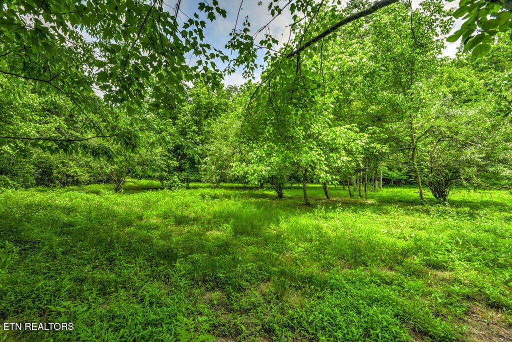 95 - Stone Ridge Drive, Andersonville, TN 37705