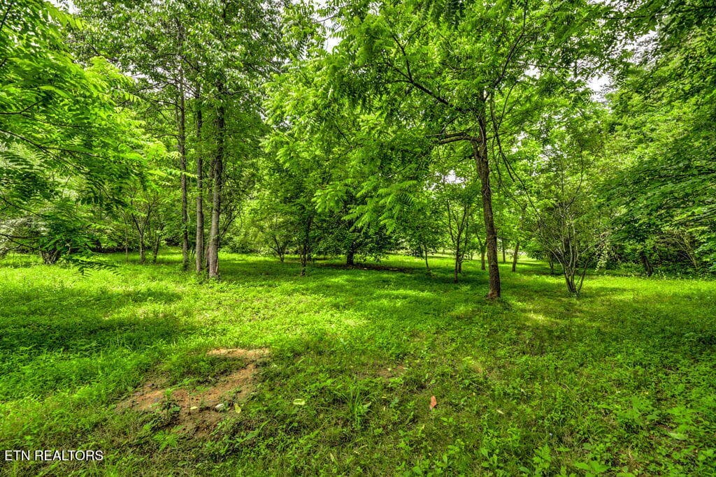 94 - Stone Ridge Drive, Andersonville, TN 37705