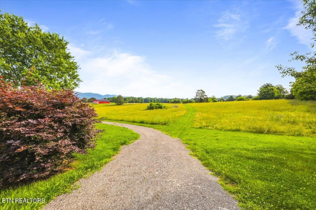 52-819 Island Ford Rd - 819 Island Ford Rd, Jacksboro, TN 37757