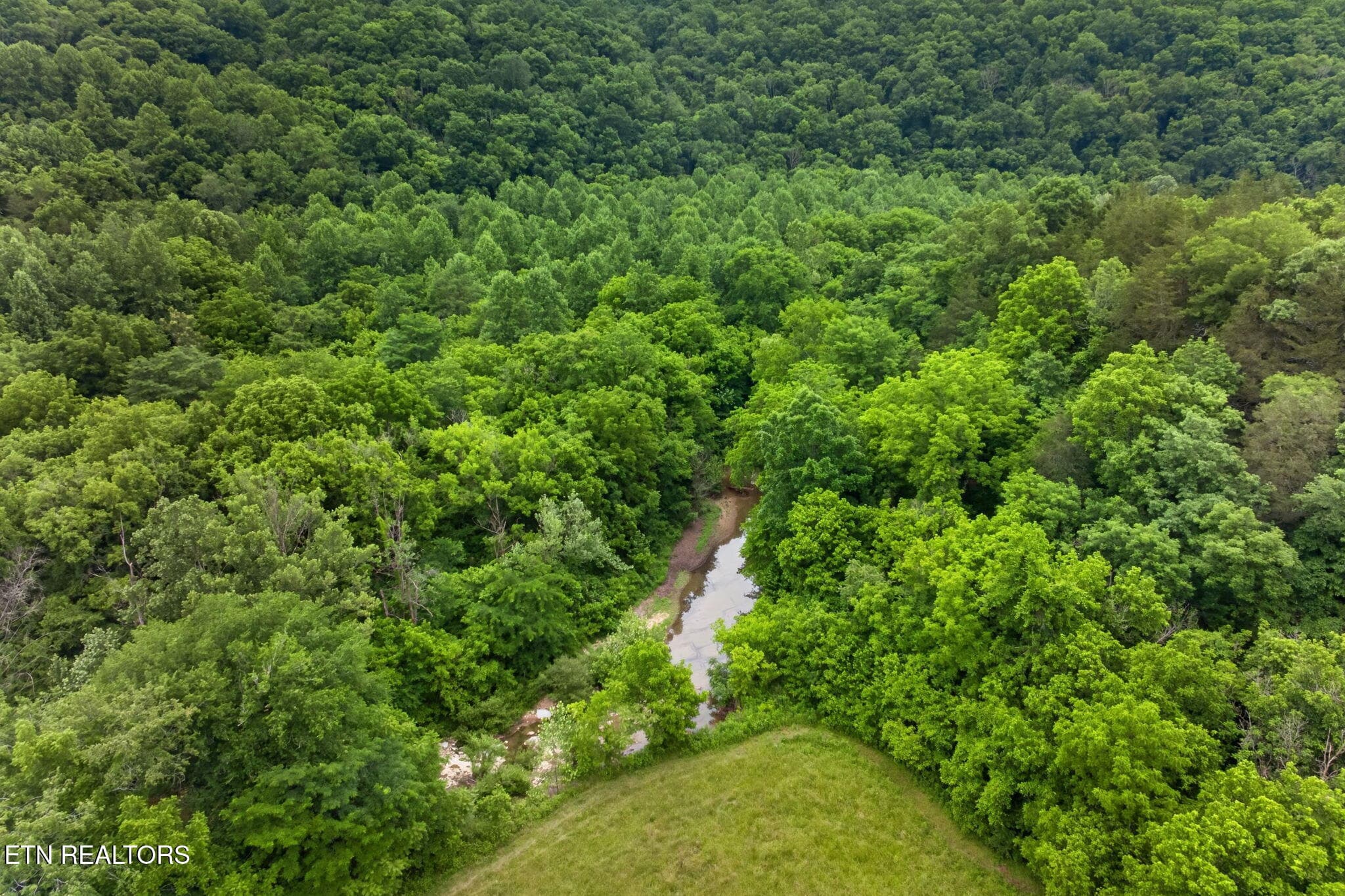 45-web-or-mls-8029-brimstone-creek-rd - 8029 Brimstone Creek Rd, Whitleyville, TN 38588