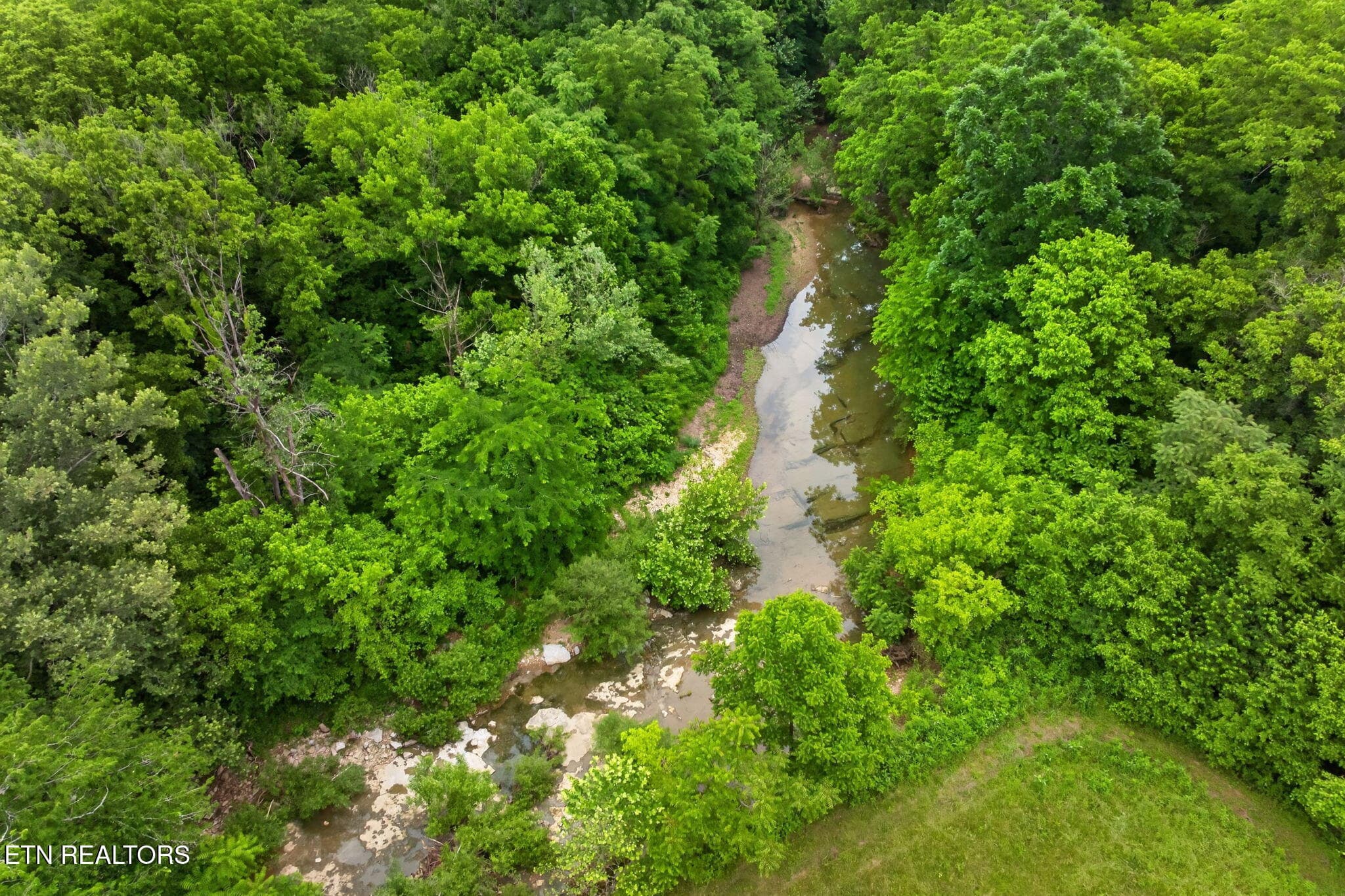 46-web-or-mls-8029-brimstone-creek-rd - 8029 Brimstone Creek Rd, Whitleyville, TN 38588