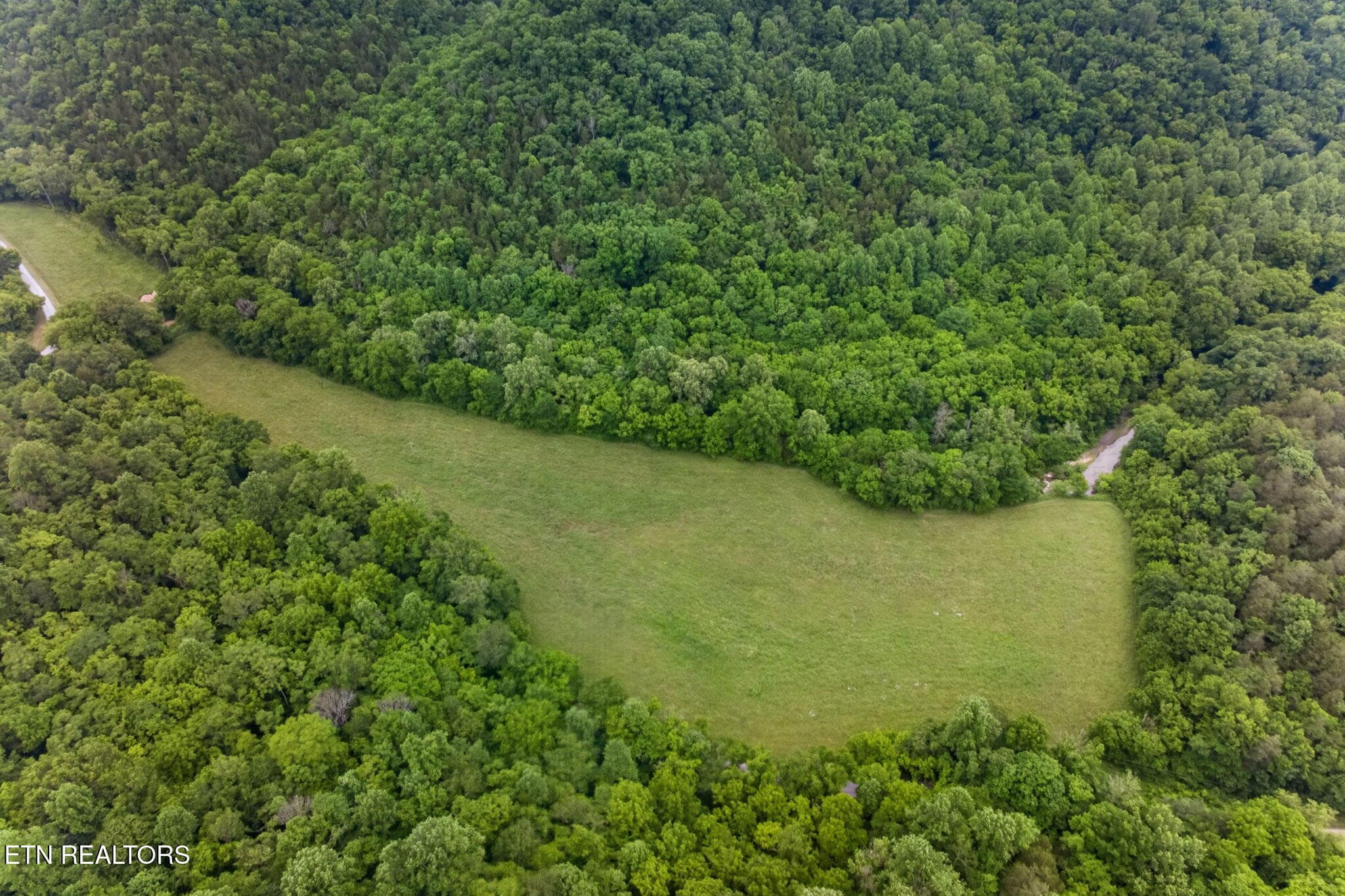 53-web-or-mls-8029-brimstone-creek-rd - 8029 Brimstone Creek Rd, Whitleyville, TN 38588