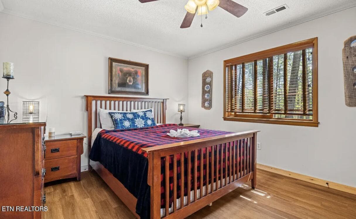20250606014630437121000000-o - 725 Sunshine Tr, Gatlinburg, TN 37738, Gatlinburg