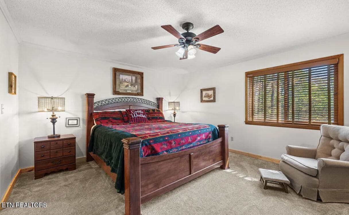 20250606014639862604000000-o - 725 Sunshine Tr, Gatlinburg, TN 37738, Gatlinburg