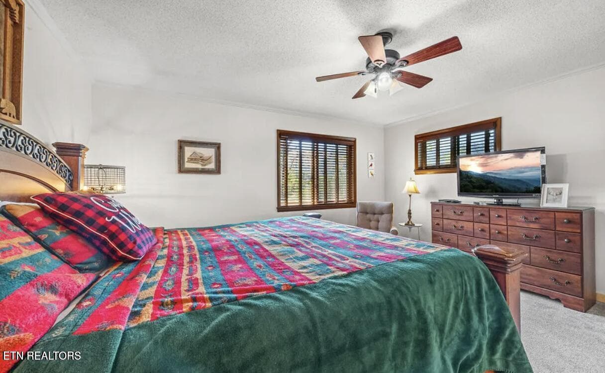 20250606014641665676000000-o - 725 Sunshine Tr, Gatlinburg, TN 37738, Gatlinburg