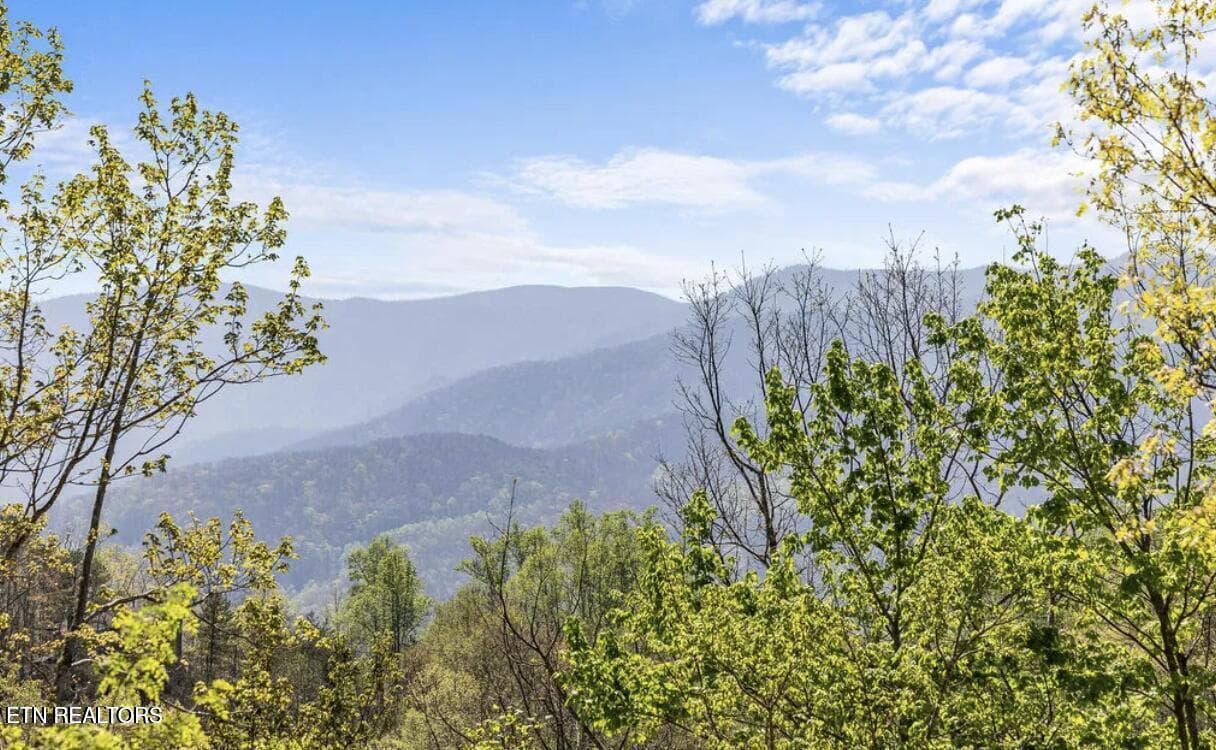 20250606014656666592000000-o - 725 Sunshine Tr, Gatlinburg, TN 37738, Gatlinburg