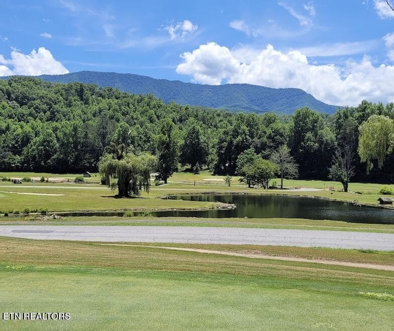 20250606014714557459000000-o - 725 Sunshine Tr, Gatlinburg, TN 37738, Gatlinburg