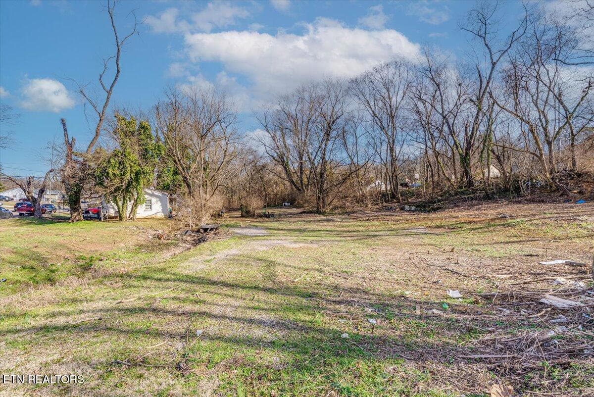 24-Clearing A1 - 4004 Catalpa Ave, Knoxville, TN 37914, Knoxville