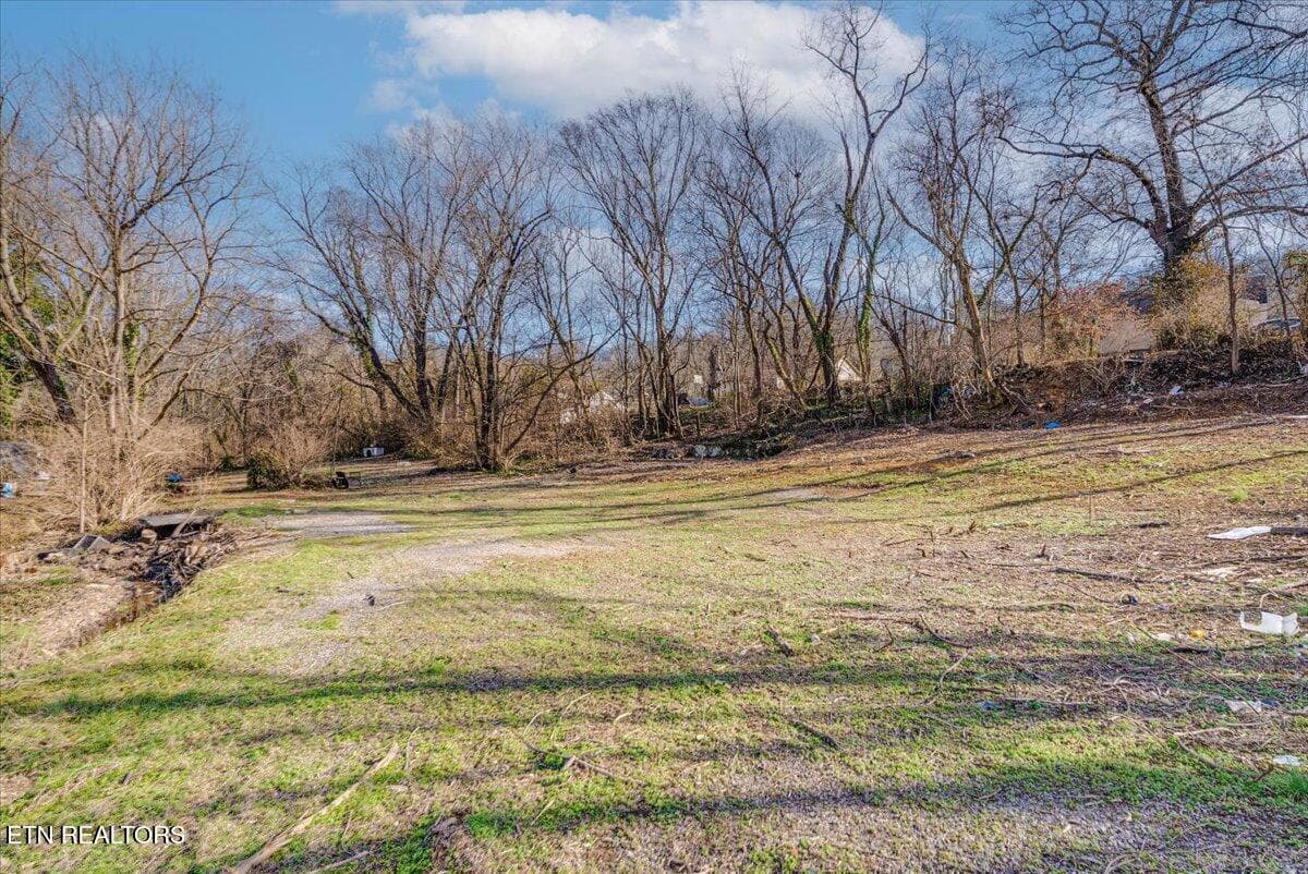 27-Extra A1 - 4004 Catalpa Ave, Knoxville, TN 37914, Knoxville