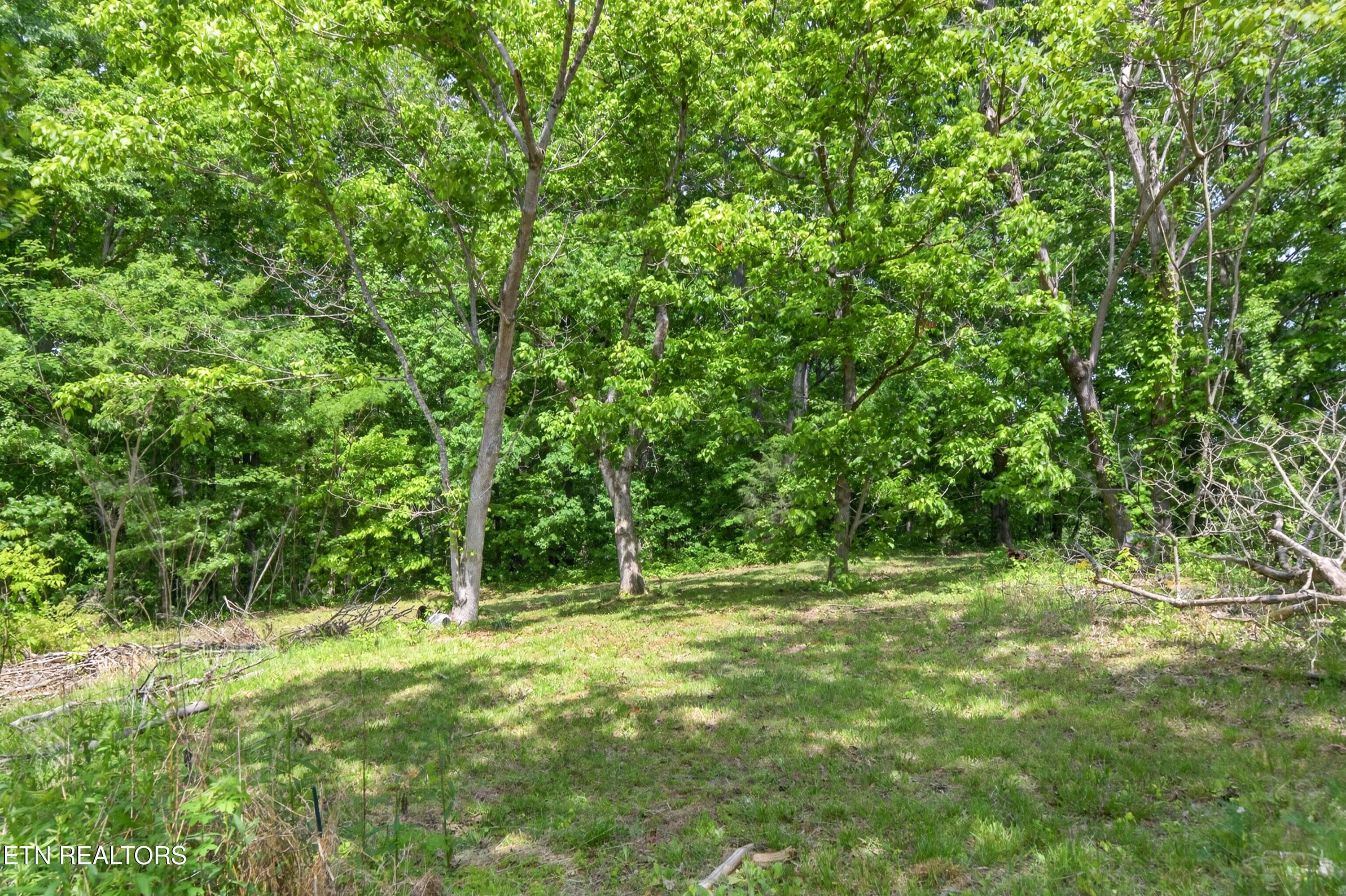 4-print-1161 Charlie Doss Rd_017_TNPC - 1161 Charlie Doss Rd, Jamestown, TN 38556
