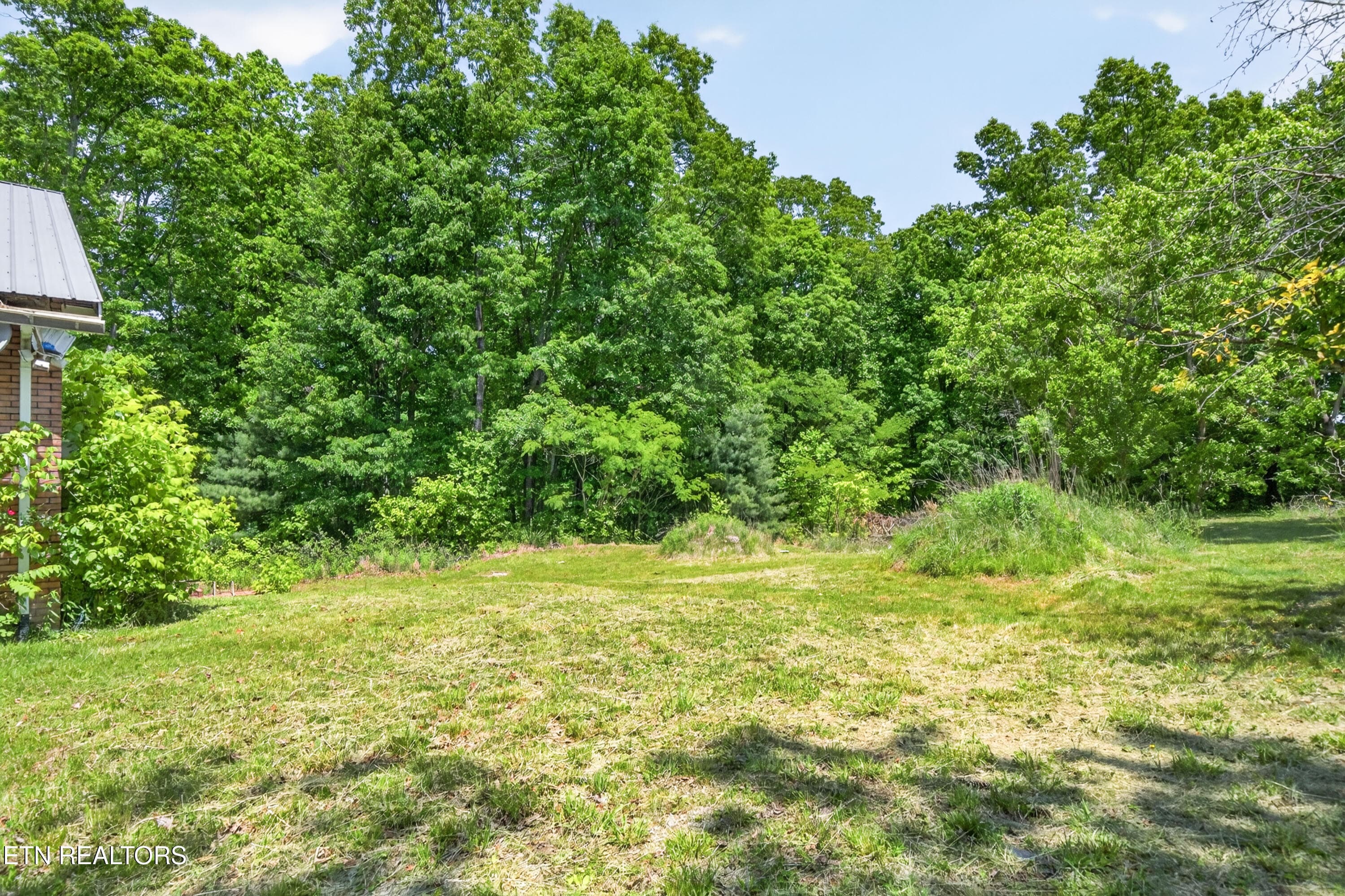 7-print-1161 Charlie Doss Rd_033_TNPC - 1161 Charlie Doss Rd, Jamestown, TN 38556