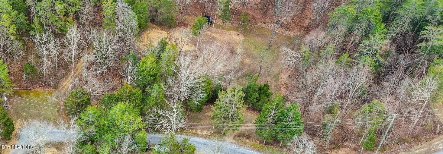 Windy Cove Way-30 - Lot 6 Windy Cove Way Way 1973 Wa, Sevierville, TN 37876