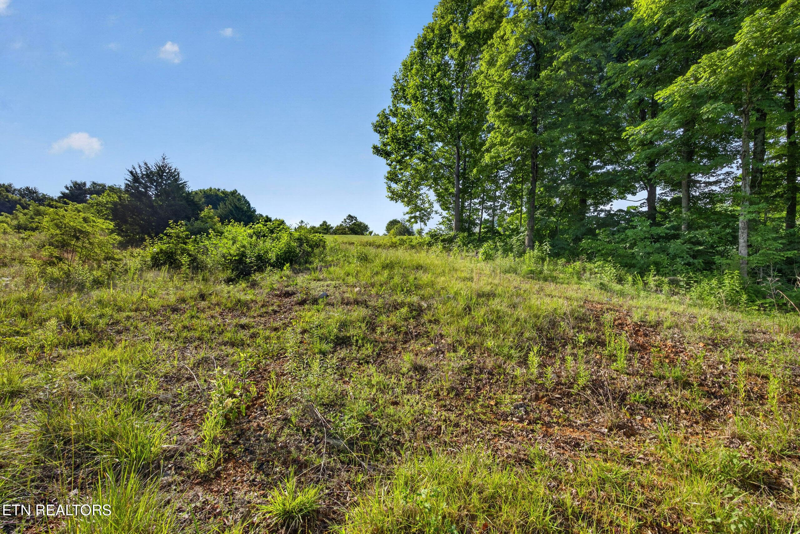 2-8N5A0287 - 2.26 AC Hidden Cove Lane, Allons, TN 38541