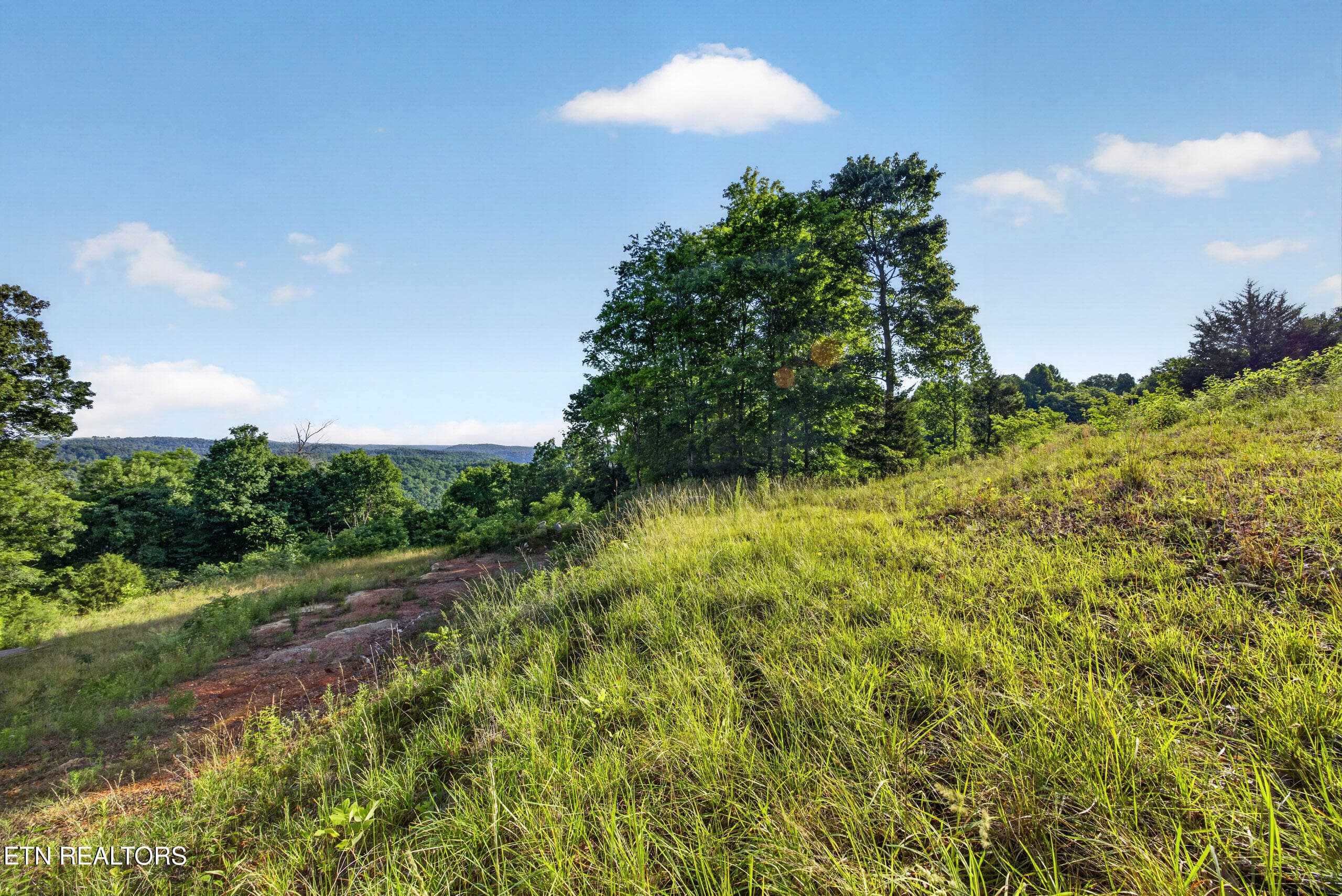 3-8N5A0276 - 2.26 AC Hidden Cove Lane, Allons, TN 38541
