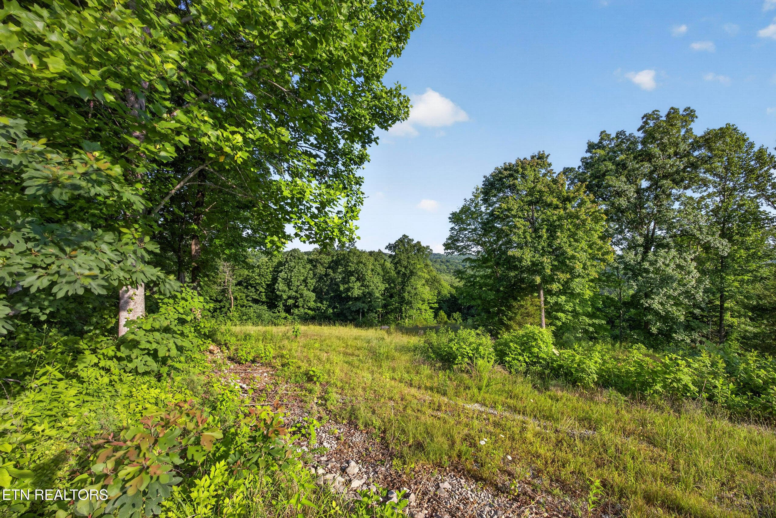 4-8N5A0253 - 2.26 AC Hidden Cove Lane, Allons, TN 38541
