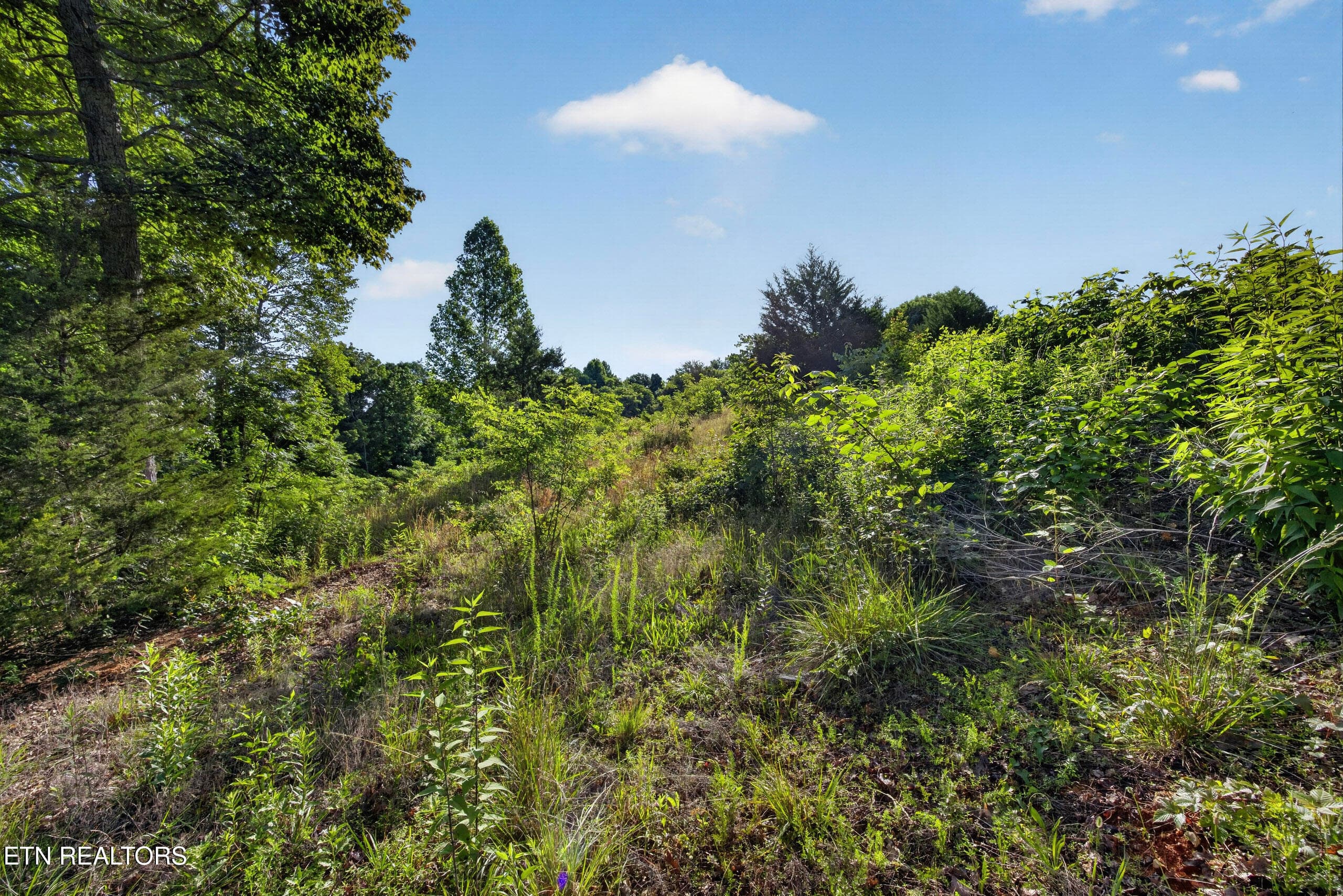 5-8N5A0290 - 2.26 AC Hidden Cove Lane, Allons, TN 38541