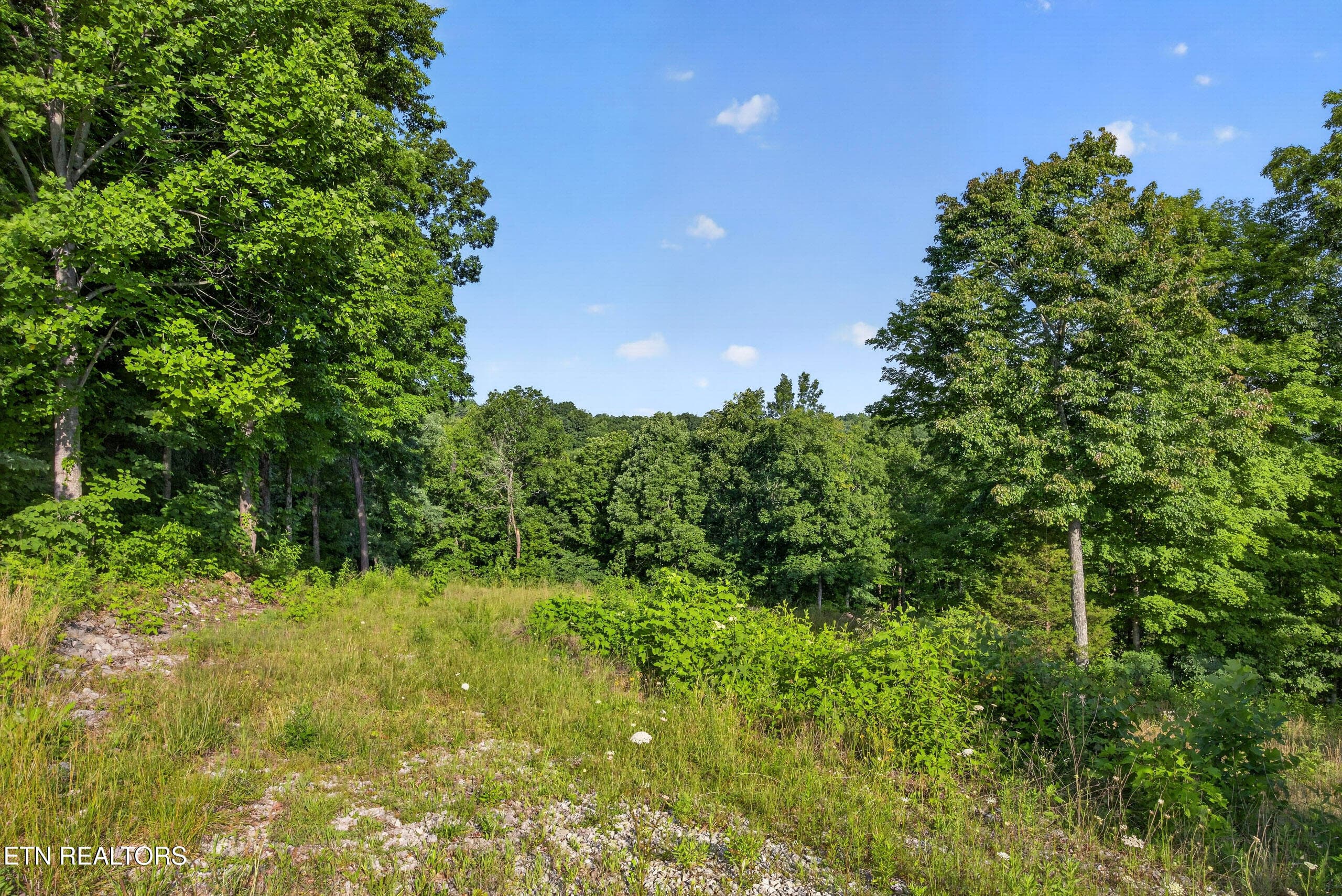 6-8N5A0293 - 2.26 AC Hidden Cove Lane, Allons, TN 38541