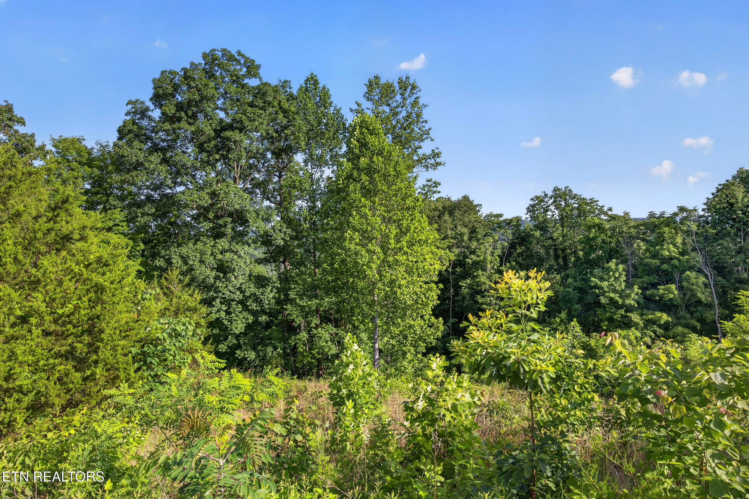 7-8N5A0302 - 2.26 AC Hidden Cove Lane, Allons, TN 38541