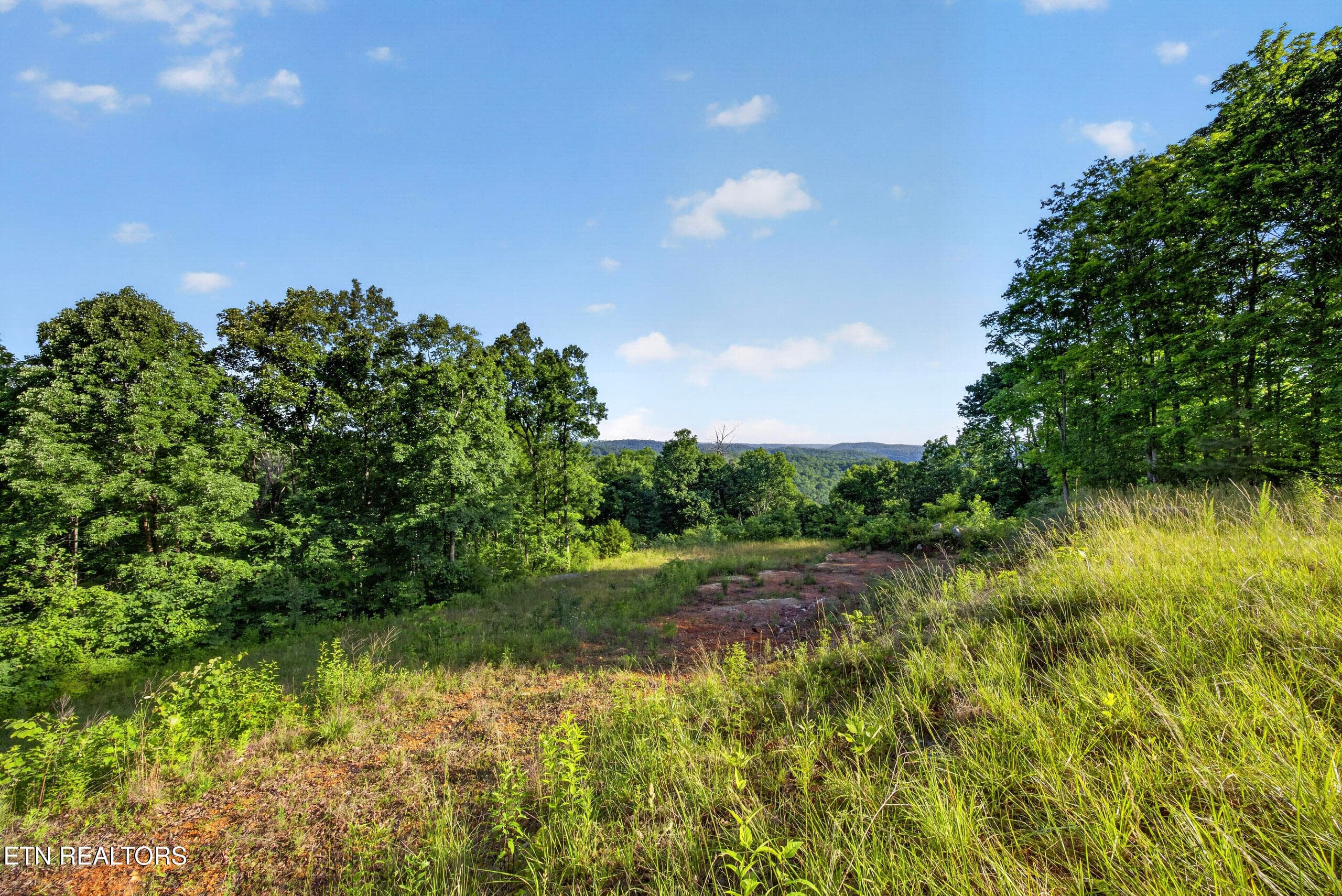 8-8N5A0263 - 2.26 AC Hidden Cove Lane, Allons, TN 38541