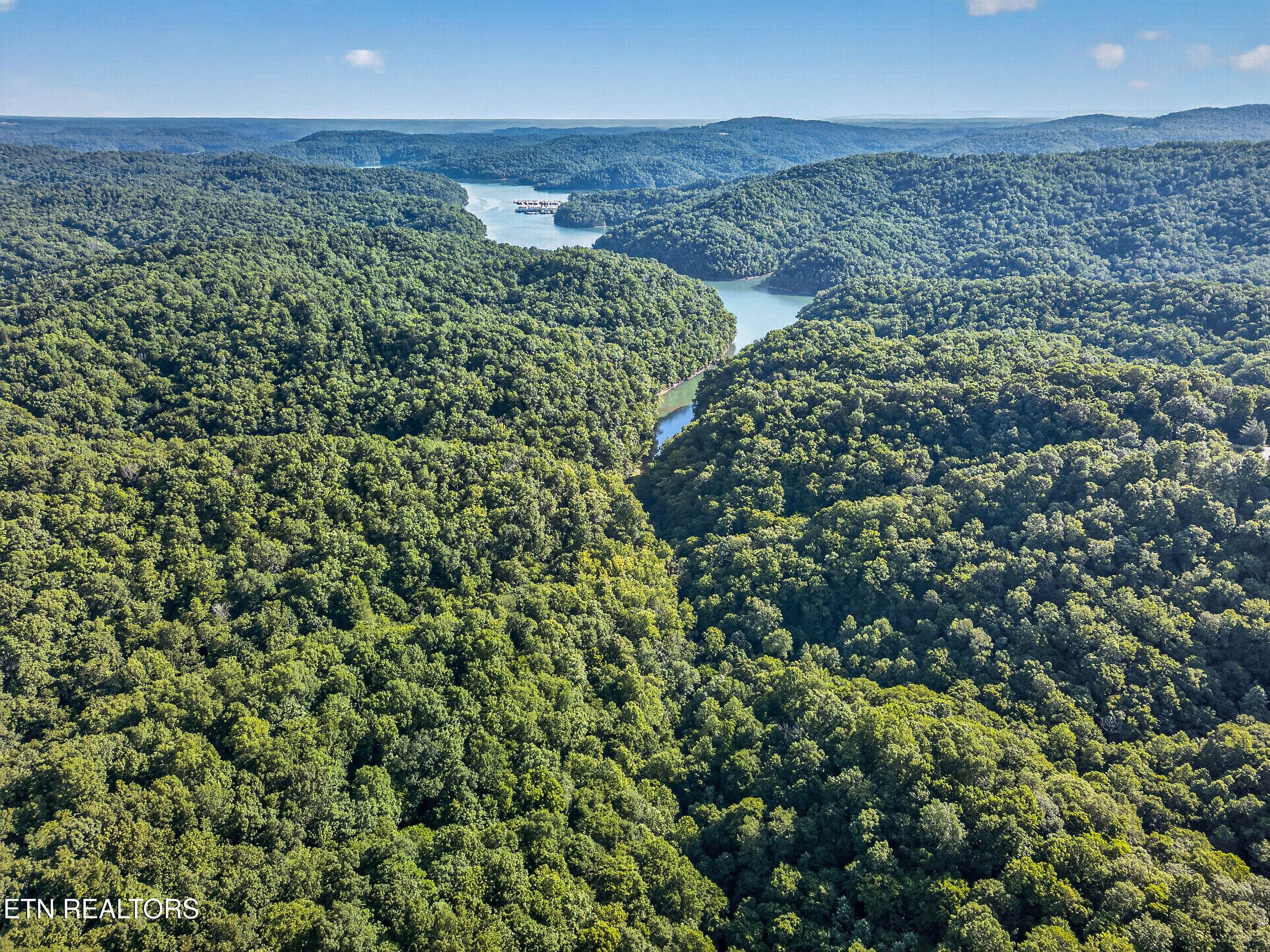 15-DJI_0118 - 2.26 AC Hidden Cove Lane, Allons, TN 38541