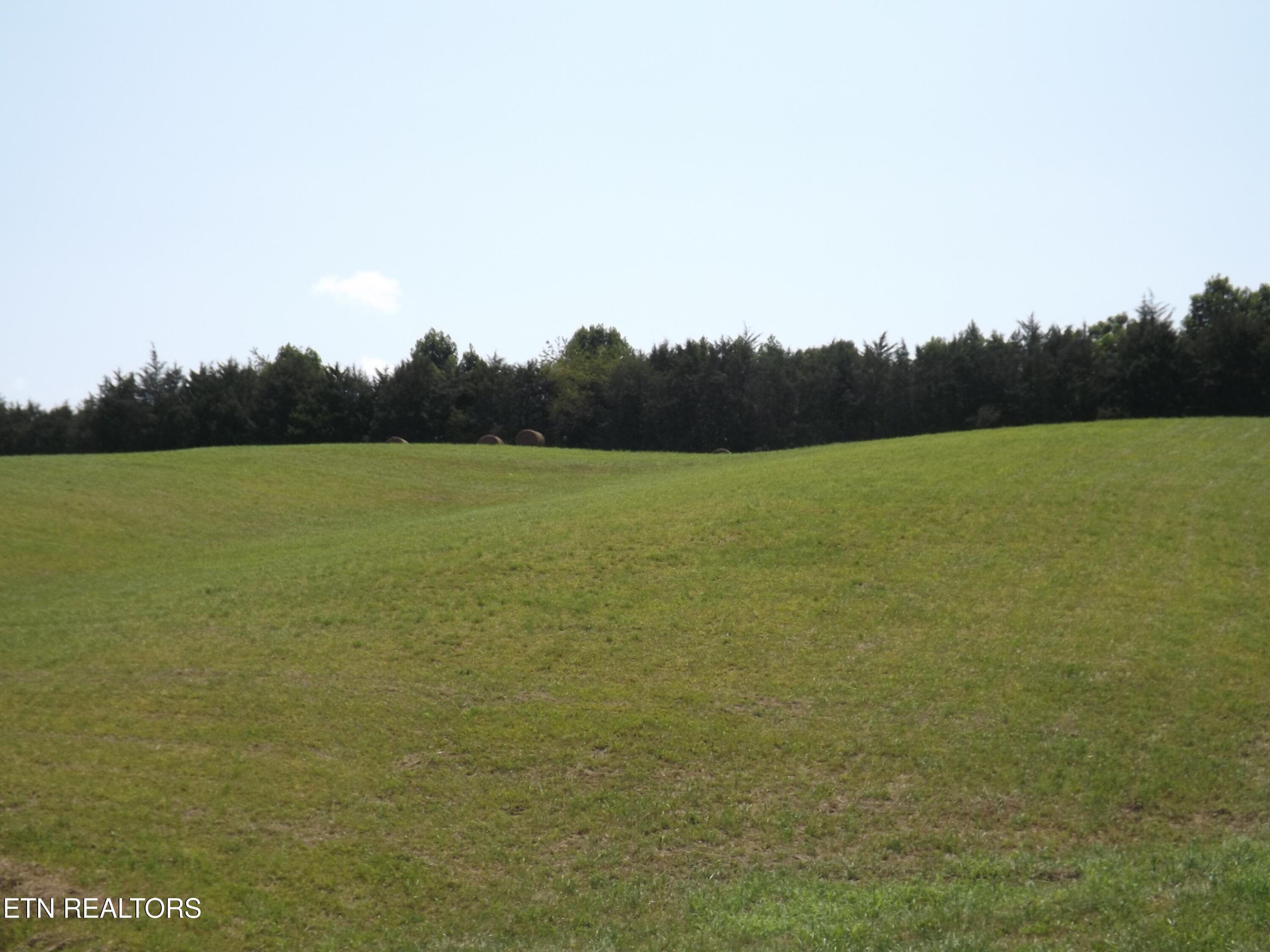 DSCF1312 - 000 FORGE RIDGE Rd, Harrogate, TN 37752