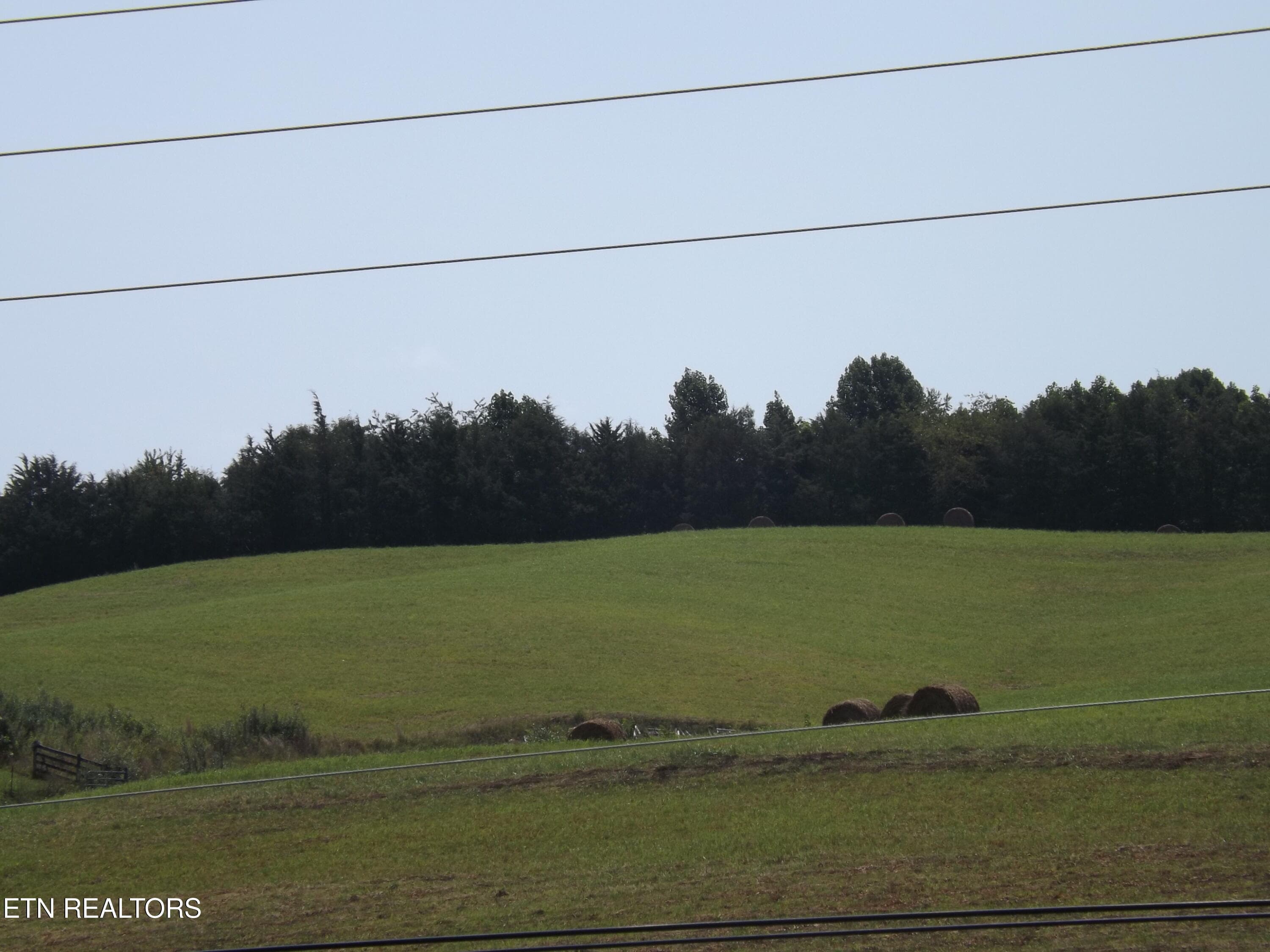 DSCF1307 - 000 FORGE RIDGE Rd, Harrogate, TN 37752