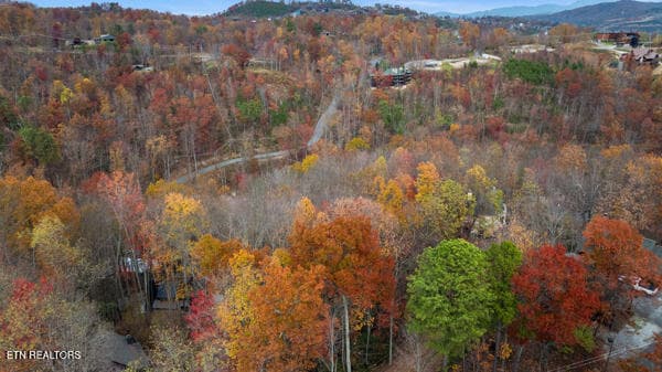 887 Holly Branch Rd, Gatlinburg, TN 37738