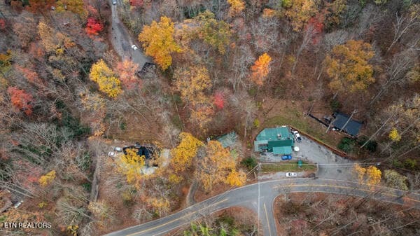 IMG_5496 - 887 Holly Branch Rd, Gatlinburg, TN 37738